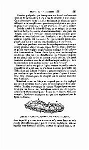 BULLETIN DE LA SOCIETE GEOLOGIQUE DE FRANCE 1852_000182